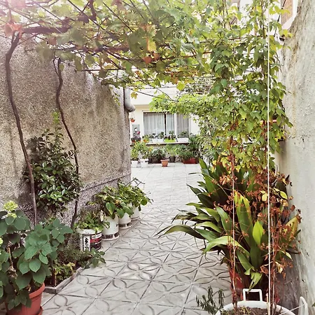 Garden Center * Ahyolu