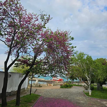 Garden Center Daire *